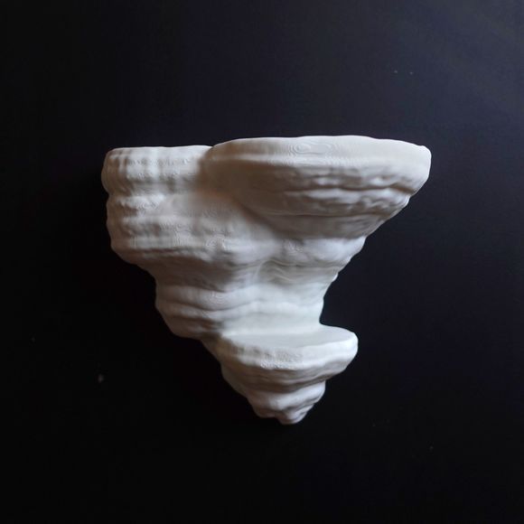 Gazzaladra Unique Wall shelf Interior Decor “Fomentarius Fungus” for Party - Picture 4 of 4